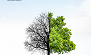 ממשבר לצמיחה