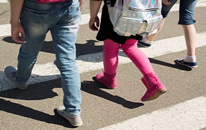 שבוע הבטיחות בדרכים 24-29.11