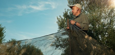 ולו כזית על עץ הזית, קק"ל חינוך וקהילה