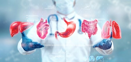 מדעי הבריאות