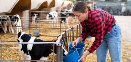 הצעות למהלך