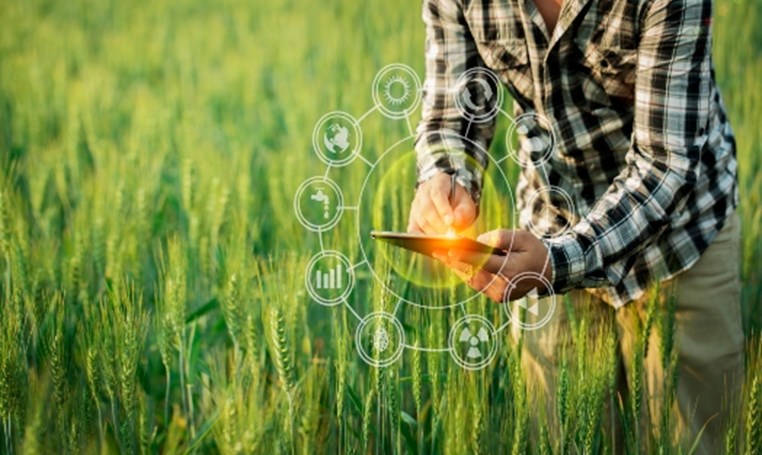 שילוב בינה מלאכותית בניתוח נתונים של גידולים חקלאיים שילוב בינה מלאכותית בניתוח נתונים של גידולים חקלאיים