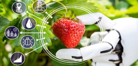 הצעות למהלך