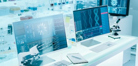 הצעות למהלך