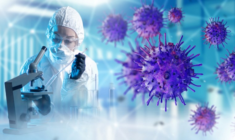 פרקטיקה בביולוגיה NotebookLM 6.1 פרקטיקה בביולוגיה NotebookLM 6.1