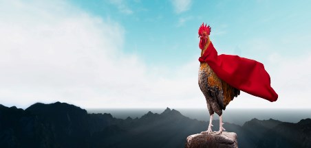 הצעות למהלך