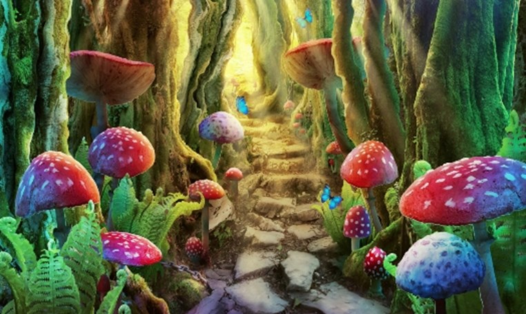 ספרות חזותית: יצירת תוכן ויזואלי עם AI לגיוון, להעמקה ולהערכה ספרות חזותית: יצירת תוכן ויזואלי עם AI לגיוון, להעמקה ולהערכה