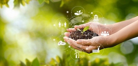 הצעות למהלך