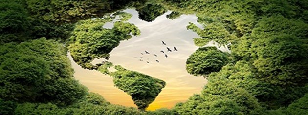 עברית: חינוך לשוני