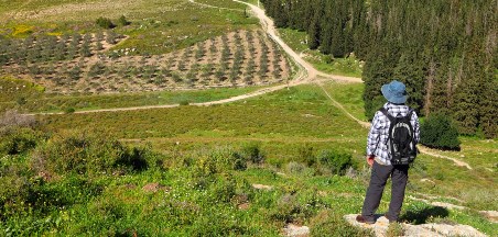 הצעות למהלך