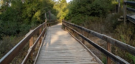 מטיילים נגיש