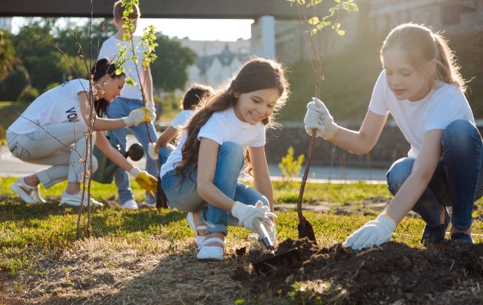 בנק התפקידים