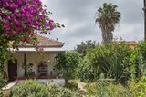 ראשית ההתיישבות בספרות, בשירה ובאומנות - כיתה ג
