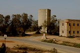 היסטוריה וזהות מקומית