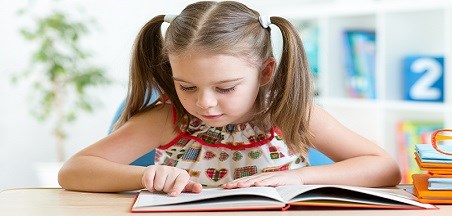 תוכנית הלימודים